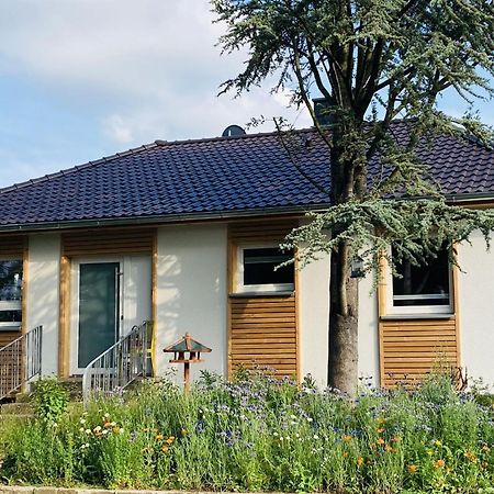 Ferienhaus Urwald Hofgeismar Exterior photo